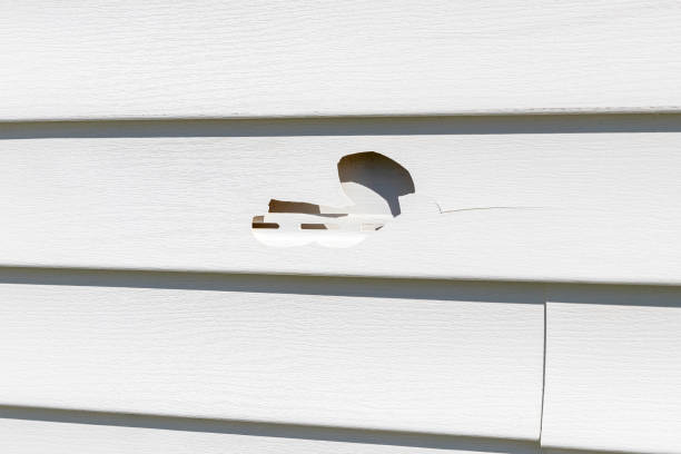 Siding Removal and Disposal in Arroyo Seco, NM